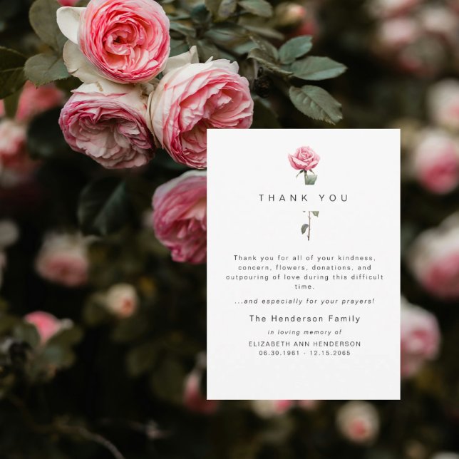 Rosa acuarela rosa duelo funeral agradecimiento (Subido por el creador)