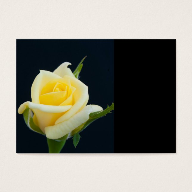 Rosa amarilla en el fondo negro (Frente)
