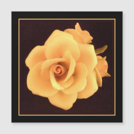 Rosa Amarilla, Foto de 2004.