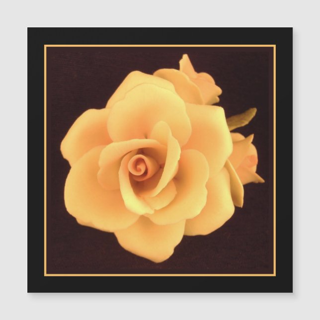 Rosa Amarilla, Foto de 2004. (Anverso)