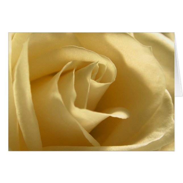 Rosa amarillo (Anverso (Horizontal))