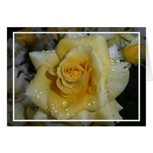 Rosa amarillo (Anverso (Horizontal))