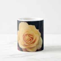 Rosa amarillo gigante en una taza