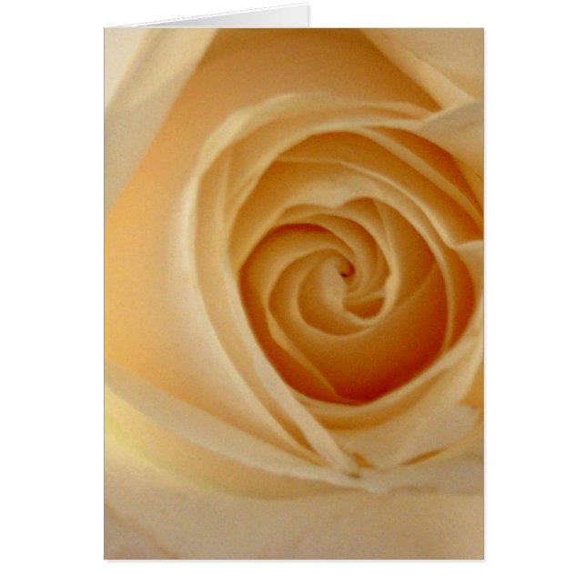 Rosa amarillo suave (Frente)