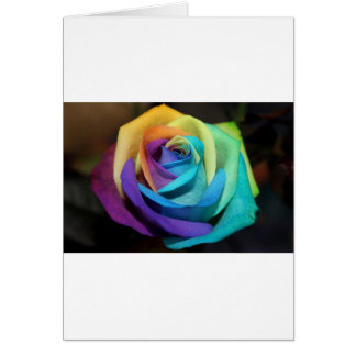 Rosa arcoiris florido paz destino de amor