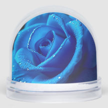 Rosa Azul Vibrante con gotas de agua
