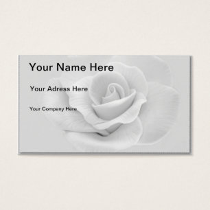 Rosa blanca