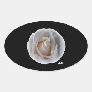 Rosa blanca en Pegatina Oval negro
