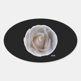 Rosa blanca en Pegatina Oval negro
