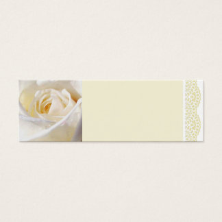 Rosa blanca y encaje