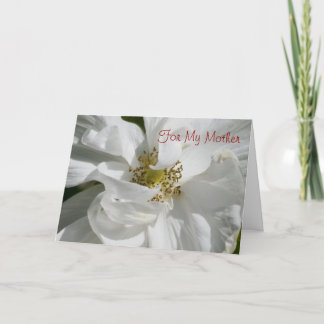 Rosa blanco para la tarjeta de la mamá