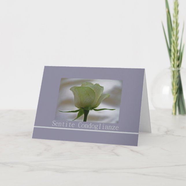 rosa blanco sobre tarjeta de simpatía gris italian (Anverso)