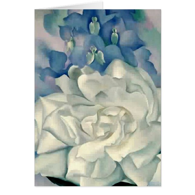 Rosa blanco y Larkspur del atontamiento Georgia (Frente)