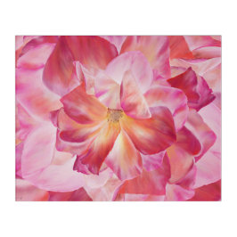 Rosa botánico Blossom Elegante Poster de Arte Flor