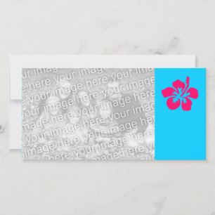 Rosa brillante Hibiscus