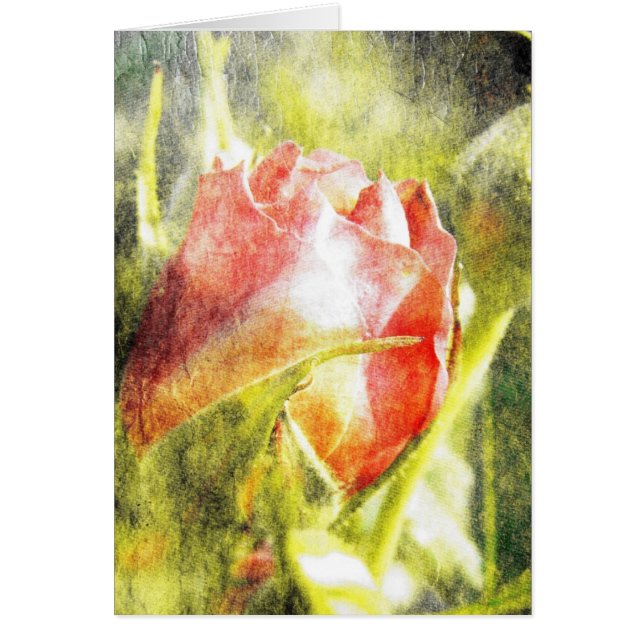 Rosa Bud (Frente)
