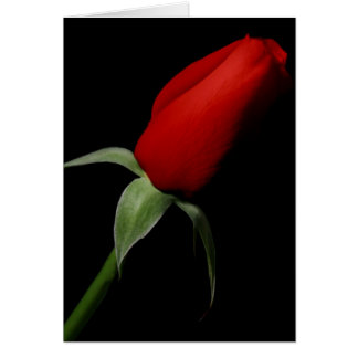Rosa Bud Love Elegant Fancy Photo Blank Dentro
