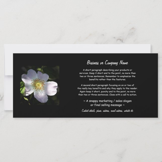 Rosa Canina - Rosa de perro (Anverso)