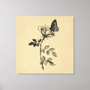 Rosa con arte de cosecha de mariposa