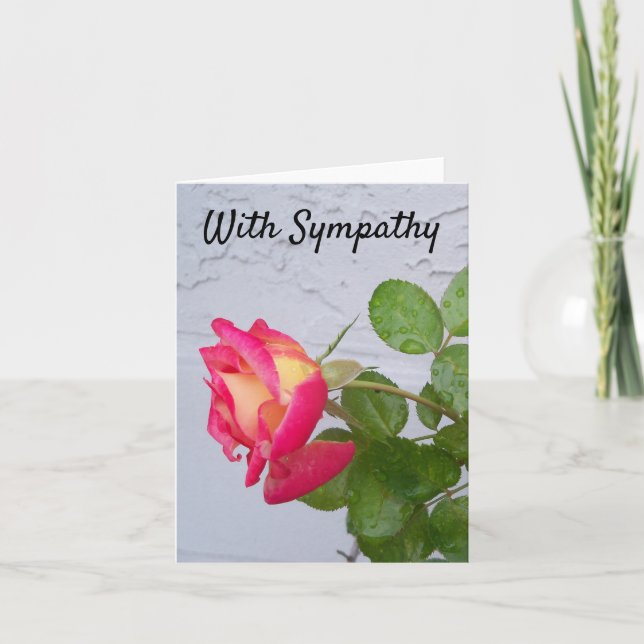 Rosa con gotas de lluvia en una tarjeta de solidar (Anverso)