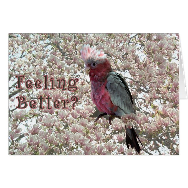 Rosa cosquilleado (Anverso (Horizontal))