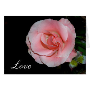 Rosa de amor