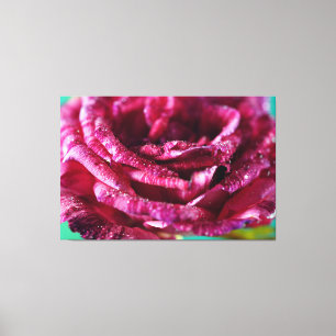 Rosa de arte en la pared de lujo Petals Naturaleza