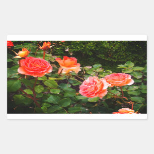 Rosa de banda de latón #1 Pegatinas rectangulares