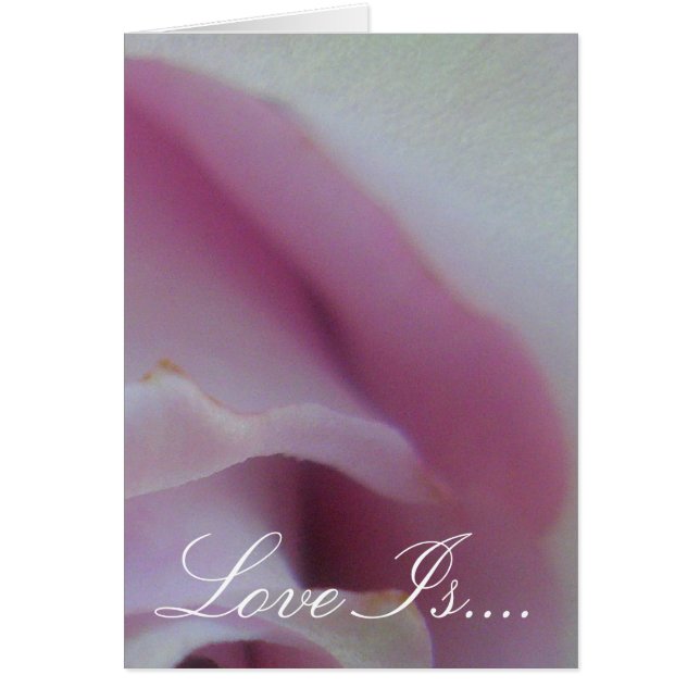 Rosa de boda lila (Frente)
