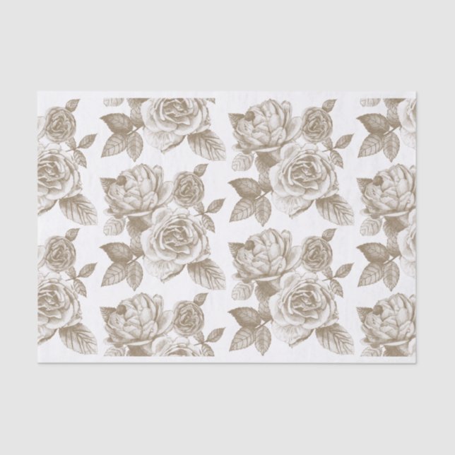 Rosa de bosquejo de papel en Sepia (Anverso)