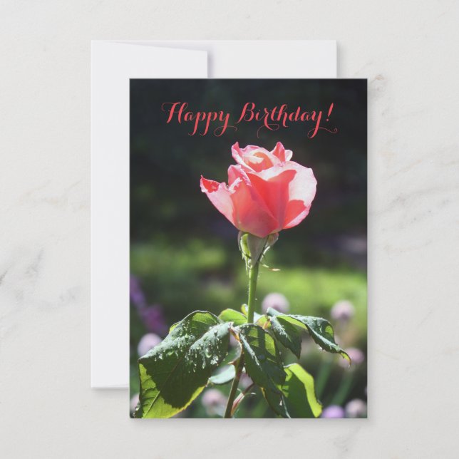 Rosa de Coral, Feliz Cumpleaños!, Tarjeta Personal (Anverso)