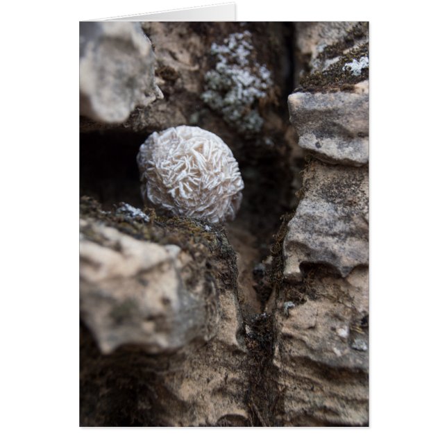 Rosa de desierto de las piedras el | 136 (Frente)