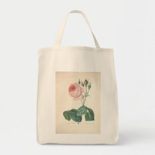 Rosa de época por Redoute - Bolsas de abarrotes