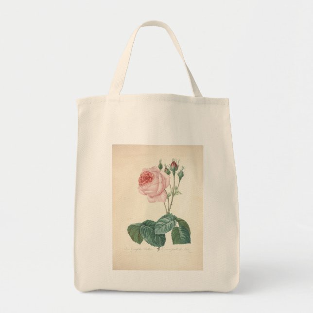 Rosa de época por Redoute - Bolsas de comestibles (Frente)