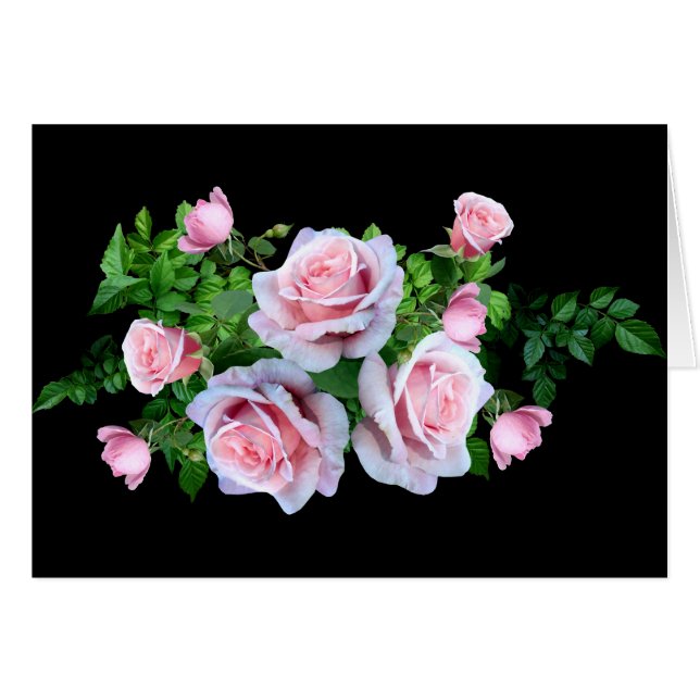 Rosa de Flores Rosa (Anverso (Horizontal))
