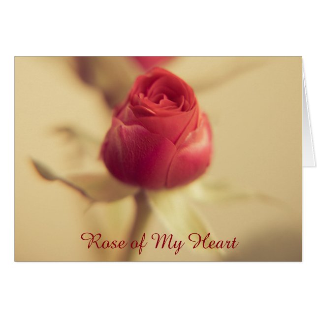 Rosa de Mi Corazón (Anverso (Horizontal))