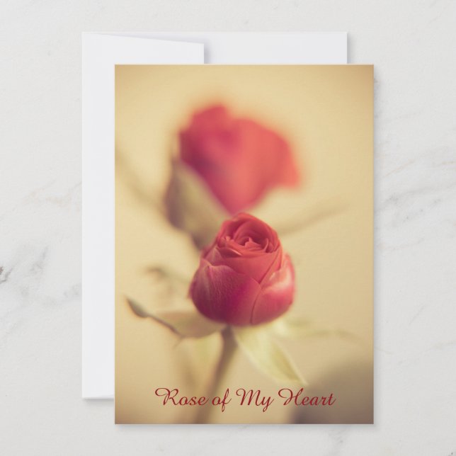 Rosa de Mi Corazón (Anverso)