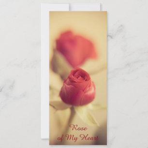 Rosa de Mi Corazón