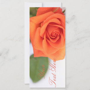 Rosa de naranja Añadir la tarjeta plana de texto