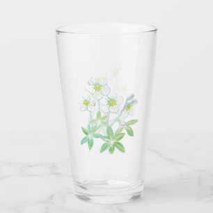 rosa de navidades, Ilustracion Helleborus niger