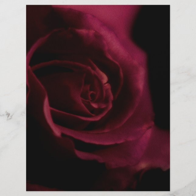 Rosa De Papel Binder En Plano De 8,5" x11" Para El (Frente)