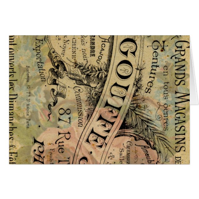 Rosa de París (Anverso (Horizontal))