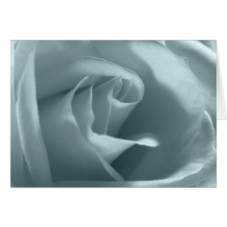 Rosa de paz