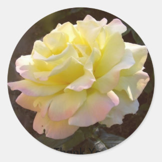 Rosa de paz pegatina