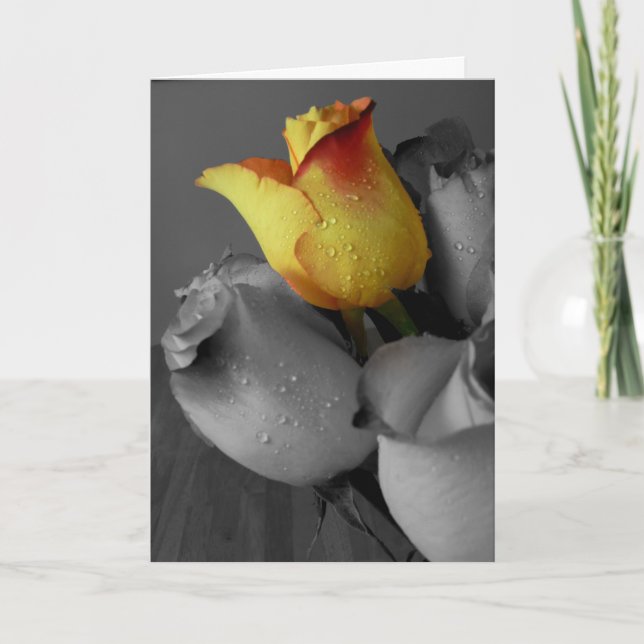 Rosa de tarjetas de cumpleaños feliz (Anverso)