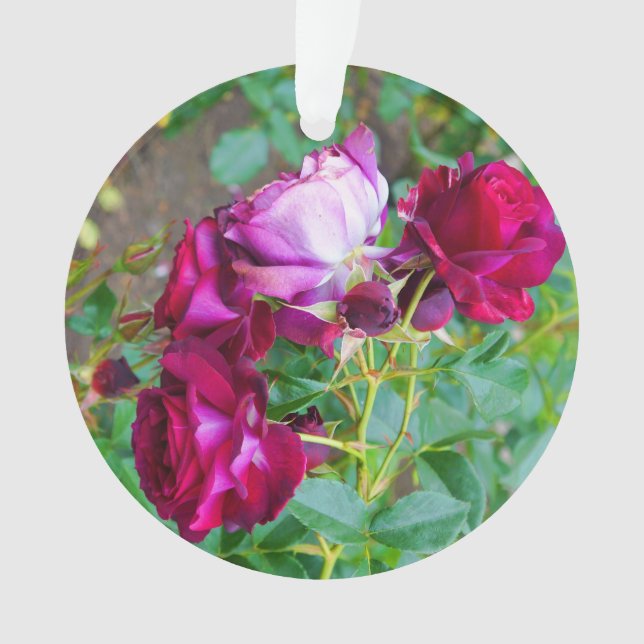 Rosa de yonder azul salvaje #1 ornamento (Anverso)
