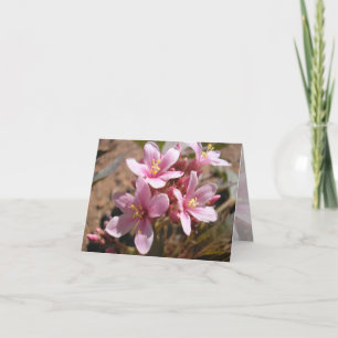 Rosa del Desierto - Tarjeta de nota