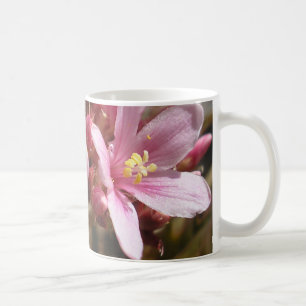 Rosa del desierto - taza #1