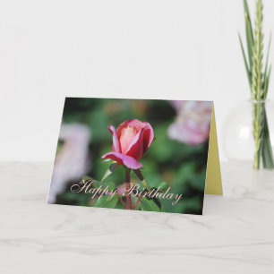 Rosa del feliz cumpleaños y tarjeta subió