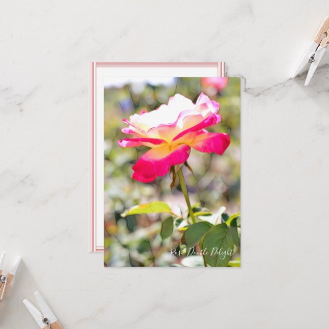 Rosa Double Delight: Flat Card (Anverso/Reverso In Situ)